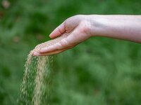 ECOstyle AZ-Kalk 10 kg - afbeelding 2