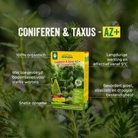 Ecostyle Coniferen & taxus-az 800 gram - afbeelding 2