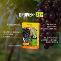 Ecostyle druiven-az 800g - afbeelding 2