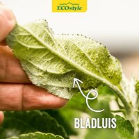 Ecostyle gaasvlieg tegen bladluis 50 m² - afbeelding 3