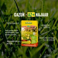 Ecostyle Gazon-az najaar 2 kg - afbeelding 2