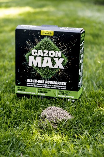 Ecostyle gazon max 10 kg voor 200 m² - afbeelding 2