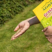 Ecostyle Graszaad versterk 2 kg - afbeelding 2