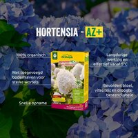 Ecostyle Hortensia-az 1.6 kg - afbeelding 2