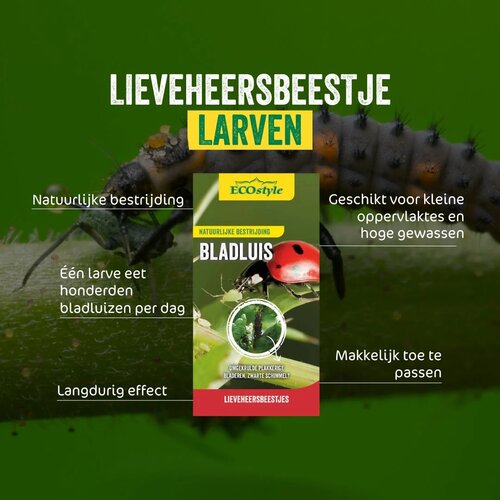 Ecostyle larven van lieveheersbeestje 5 m² - afbeelding 2