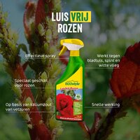 ECOstyle Luisvrij rozen 750 ml - afbeelding 2