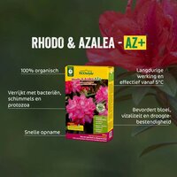 Ecostyle Rhodo & azalea-az 1.6 kg - afbeelding 2
