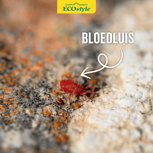 Ecostyle roofmijt tegen bloedluis bij gevogelte 10 m² - afbeelding 3