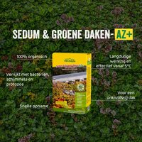Ecostyle sedum & groene daken-az 800 gram - afbeelding 2
