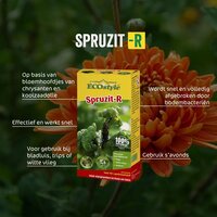 ECOstyle Spruzit-R concentraat 100 ml - afbeelding 2