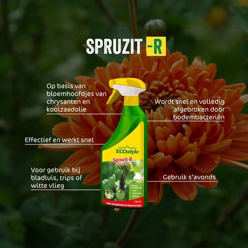 ECOstyle Spruzit-R gebruiksklaar 750 ml - afbeelding 2