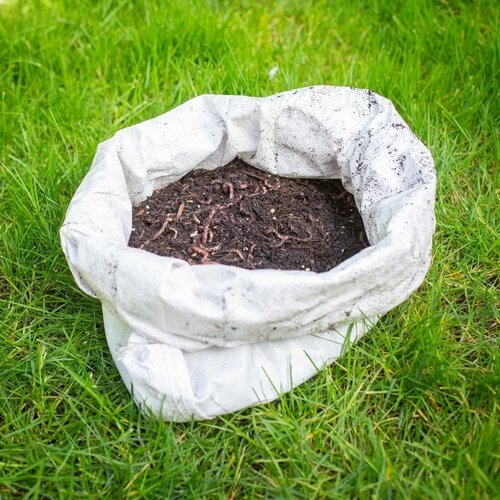 Ecostyle verse wormenmix bodemverbetering 1 kg - afbeelding 3