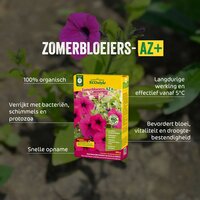 ECOstyle Zomerbloeiers-az 800 gram - afbeelding 2