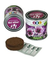 Eetbare bloemen in blik kaasjeskruid BIO