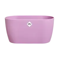 Elho brussels orchidee duo 25 violet