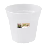 Elho green basics orchidee 13 transparent