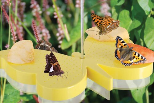 Esschert Design vlinder voederschaal - afbeelding 2