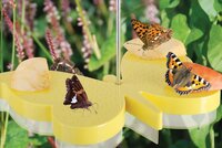 Esschert Design vlinder voederschaal - afbeelding 2