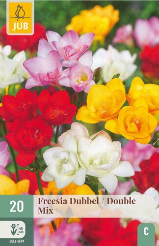 Freesia dubbel mix 20 bollen - afbeelding 2