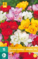 Freesia dubbel mix