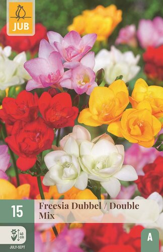 Freesia dubbel mix