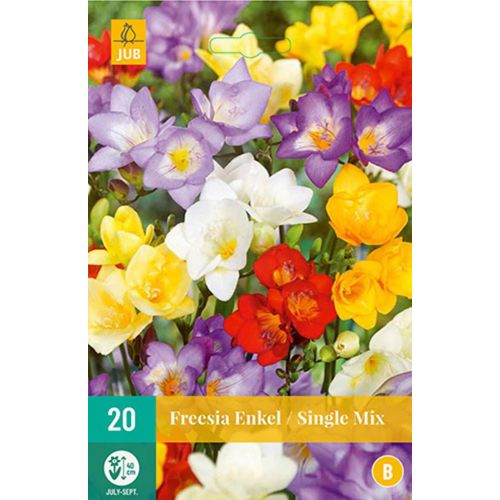 Freesia enkel mix 20 bollen