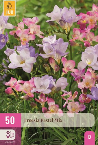 Freesia pastel mix 50 knollen