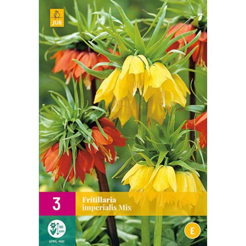 Fritillaria imperialis mix 3 bollen