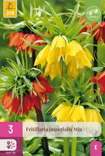 Fritillaria imperialis mix 3 bollen - afbeelding 3