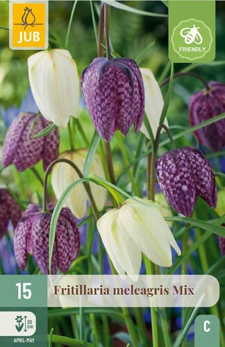 Fritillaria meleagris mix 15 bollen - afbeelding 3