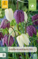 Fritillaria meleagris mix 15 bollen - afbeelding 3