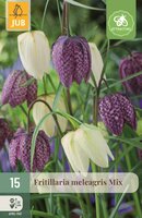 Fritillaria meleagris mix 15 bollen