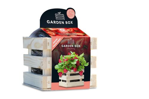 Baza garden box extra zoete aardbei - afbeelding 1
