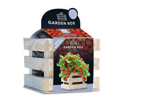 Baza garden box sappige aardbei - afbeelding 1