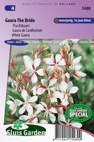 Gaura Lindheimeri zaden The Bride prachtkaars