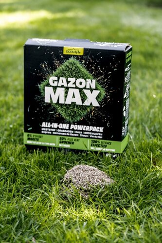 Ecostyle gazon max 1 kg voor 20 m2 - afbeelding 2
