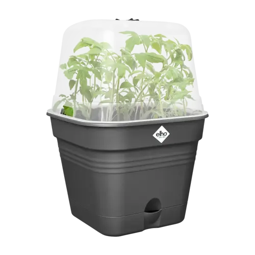 Elho green basics growpot square all-in-1 living black 15 - afbeelding 3