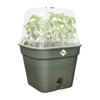 Elho green basics growpot square all-in-1 leaf green 20 - afbeelding 3