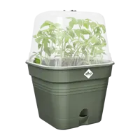 Elho green basics growpot square all-in-1 leaf green 25 - afbeelding 3