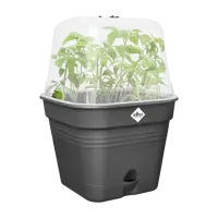 Elho green basics growpot square all-in-1 living black 25 - afbeelding 3