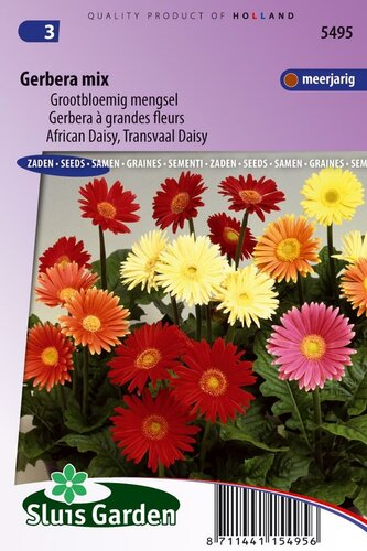 Gerbera Jamesonii zaden Choice mix