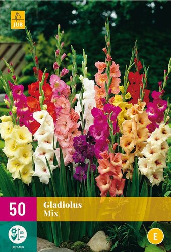 Gladiolen mix 50 bollen