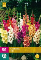 Gladiolen mix 50 bollen