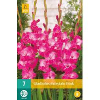 Gladiool fairytale pink - afbeelding 1