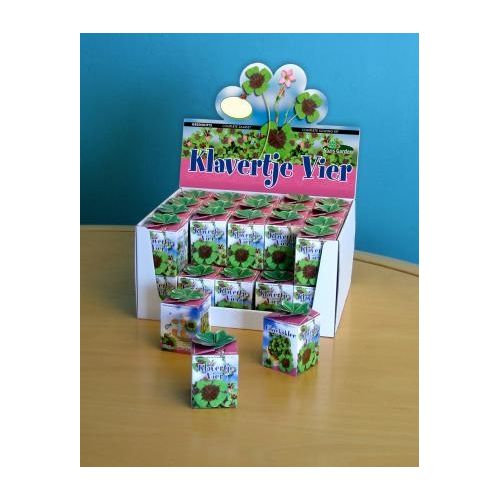 Greengift Klavertje-vier in showdoos