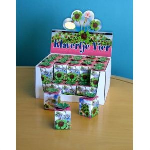 Greengift Klavertje-vier in showdoos