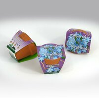 Greengift Terracotta Vergeet me niet