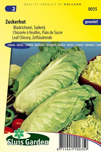 Groenlof / suikerij zaden zuckerhut