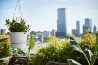 Elho greenville hanging basket 24 leaf green - afbeelding 2