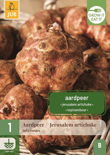 Helianthus Tuberosus aardpeer